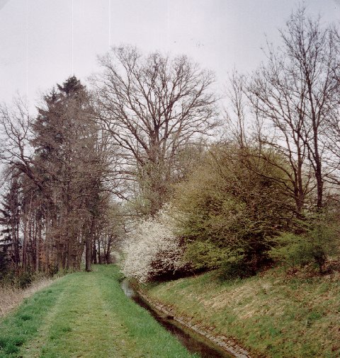 Hausheim-Leitgraben