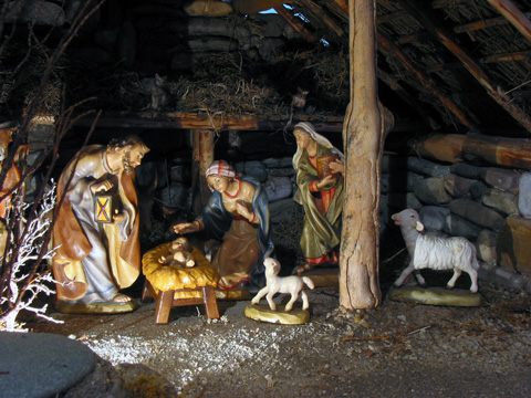 Nativity Scene of Peace