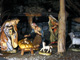 Nativity Scene of Peace 4